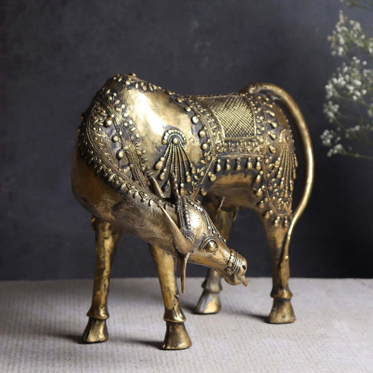Cow