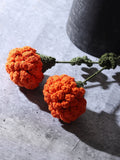 Crochet Marigold