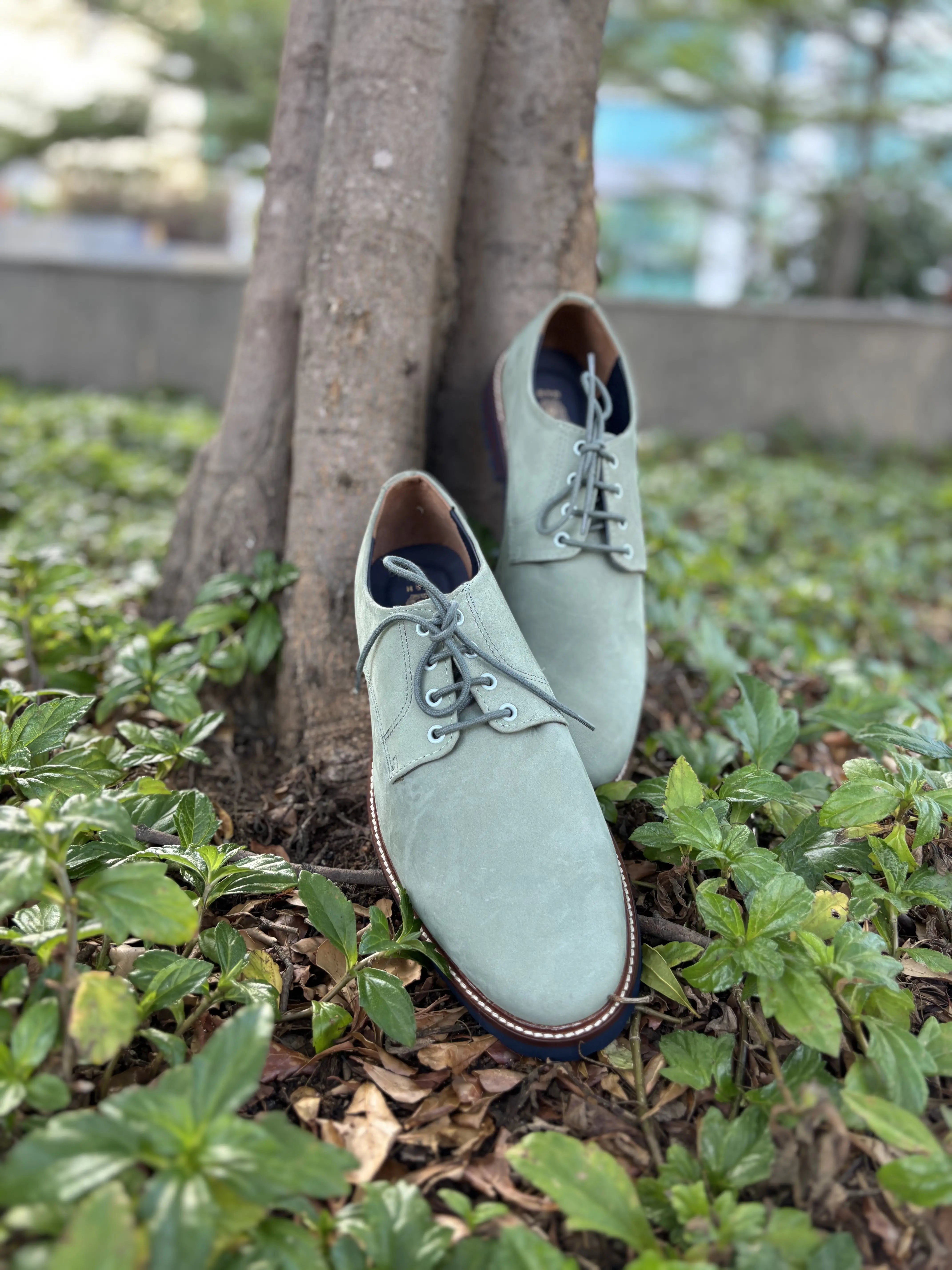 Men Casual Shoe