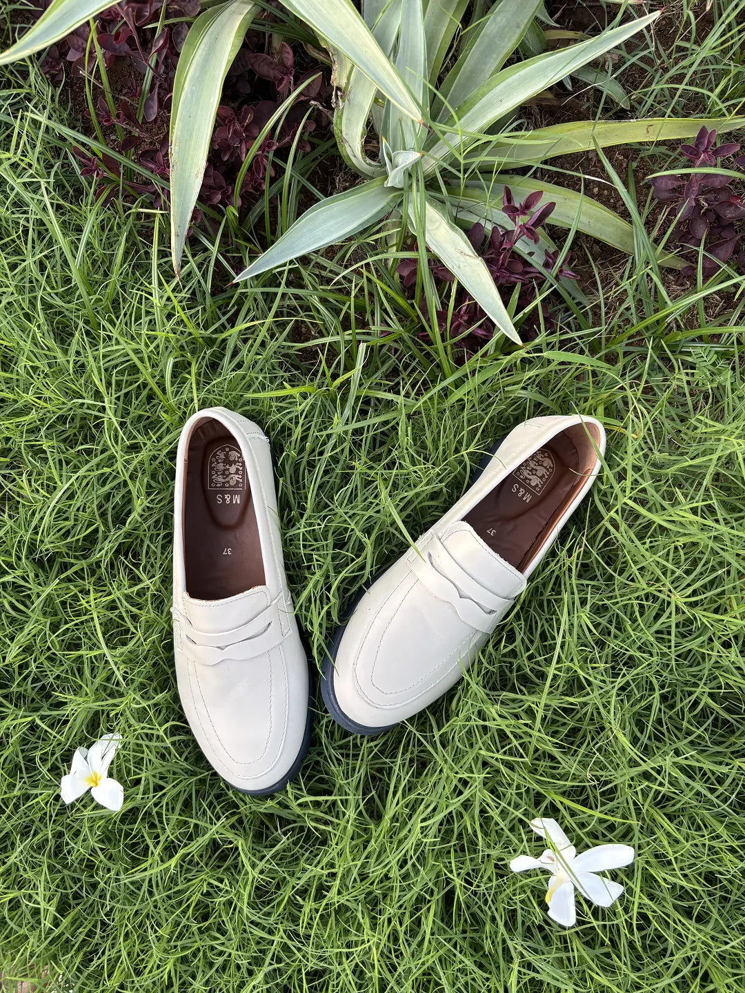 Women Casual Shoe