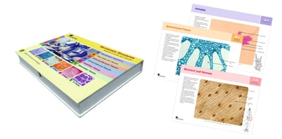 Microscopic Structures (Set Of 52 Charts)