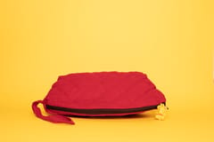 Red Fabric Regular Hand Bag