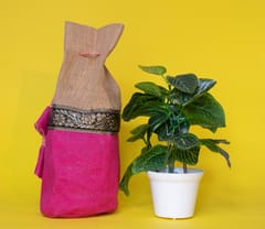 Jute Potli Bag / Pink Colour / Black Colour Single Lace