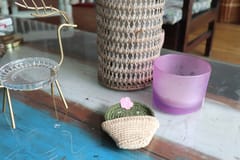 Plant Basket Coaster Set