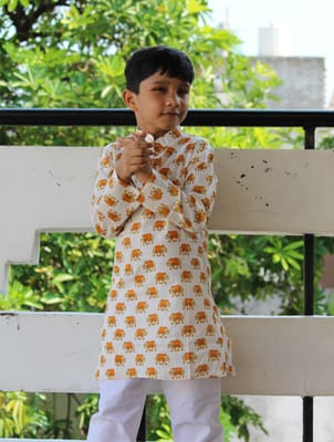 Handblock animal print cotton Kurta for boys