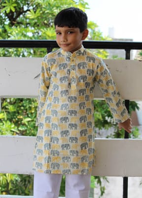 Handblock animal print cotton Kurta for boys