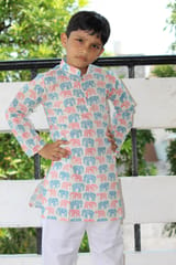 Handblock animal print cotton Kurta for boys