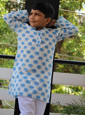 Handblock animal print cotton Kurta for boys