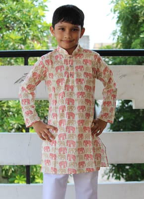 Handblock animal print cotton Kurta for boys