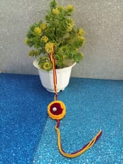Rakhi D6